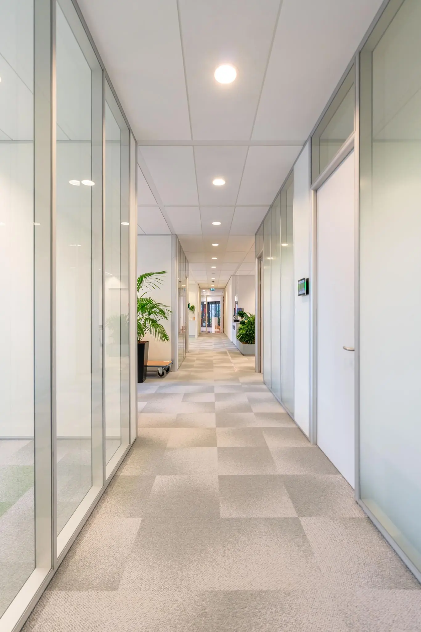 Verlicht kantoorinterieur aan de De Bruyn Kopsstraat met glazen wanden, deuren en planten.